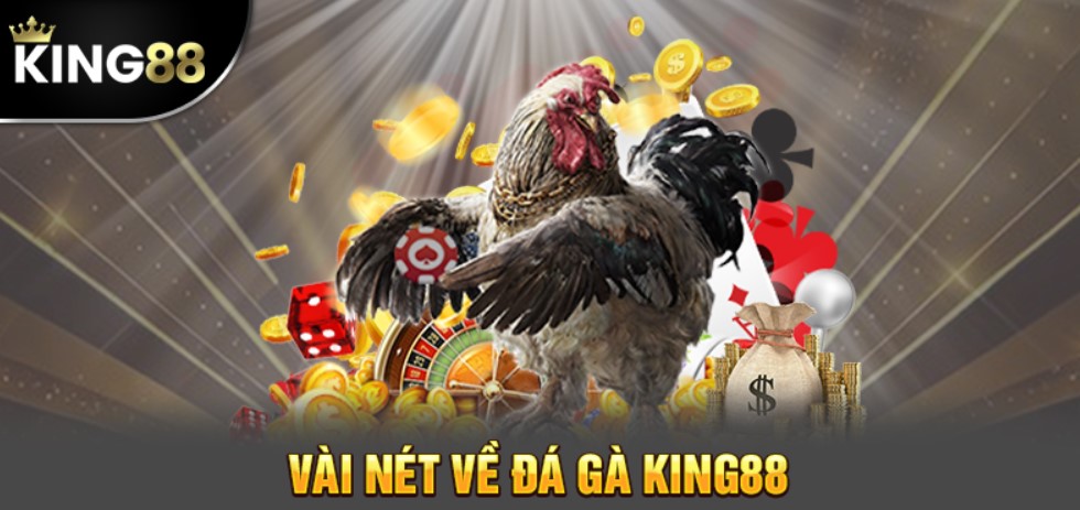 Giới thiệu sảnh đá gà King88