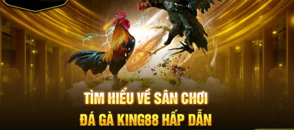 Những kinh nghiệm đá gà online tại King88